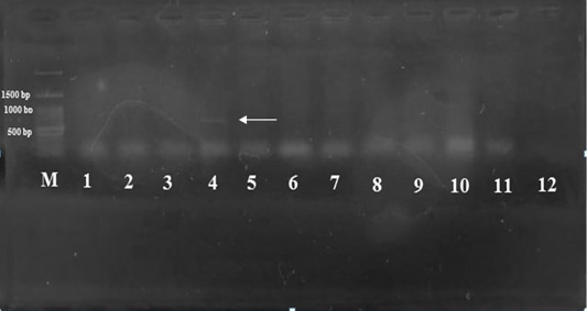 Figure 5: