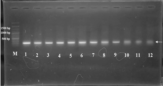 Figure 6: