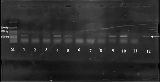 Figure 3: