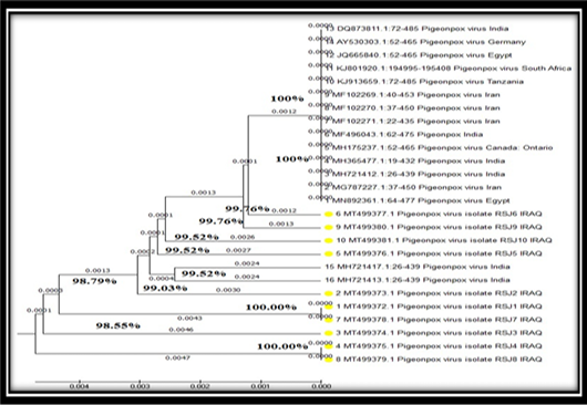 Figure 5: