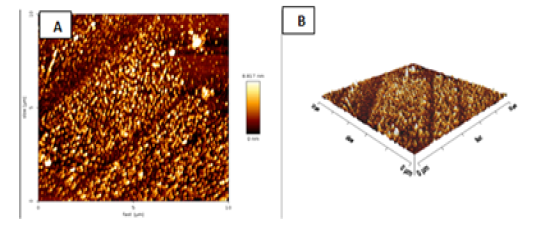 Figure 4A, B