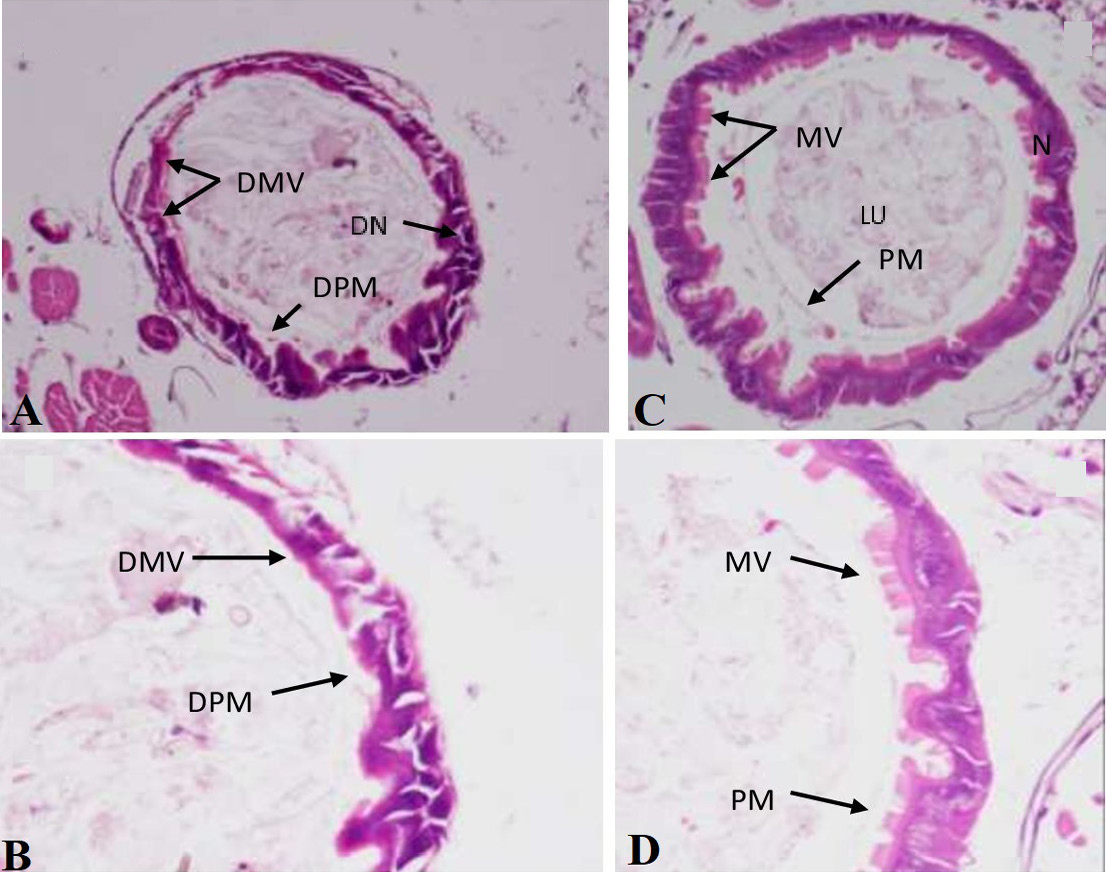 Fig. 2.