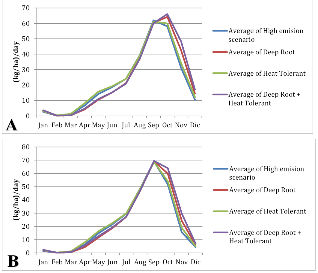 Figure 5: