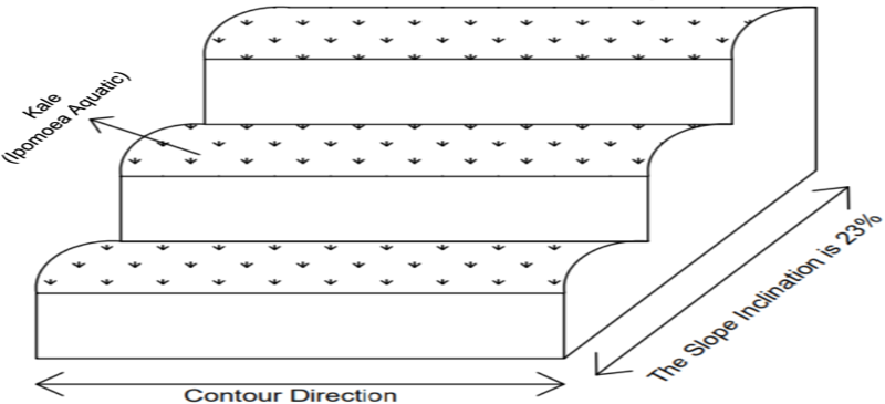 Figure 2: