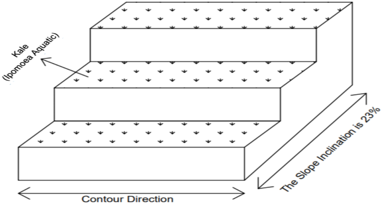Figure 3: