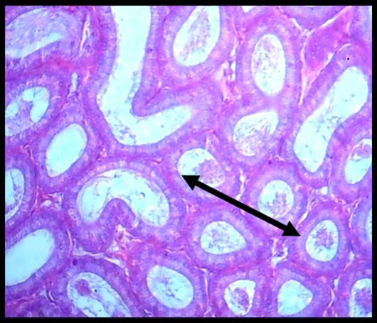 Figure 8: