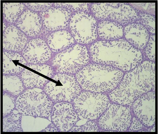 Figure 5: