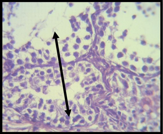Figure 6: