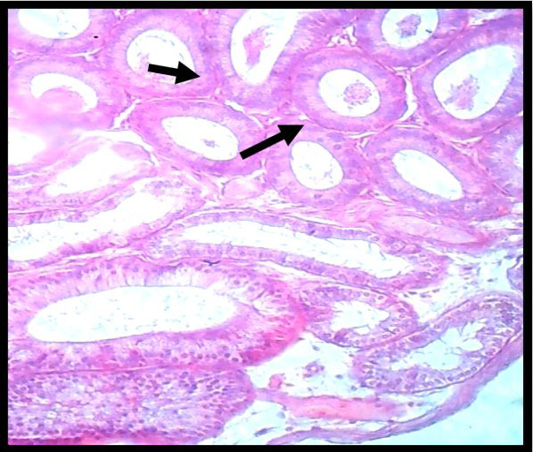 Figure 3:
