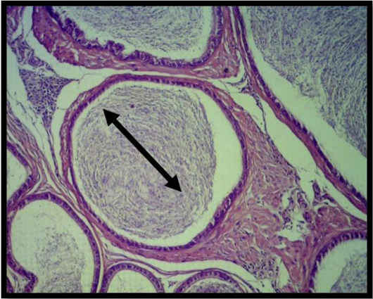 Figure 10: