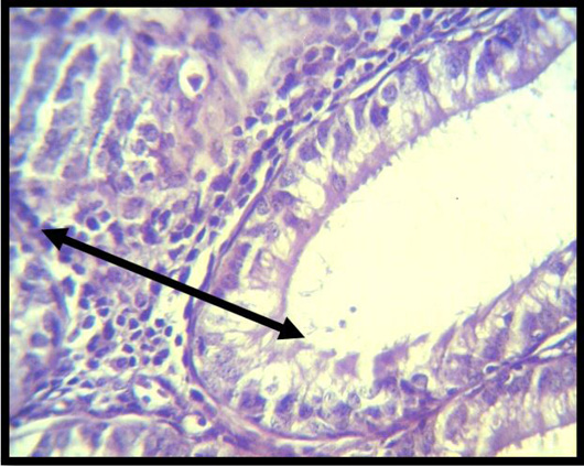 Figure 7: