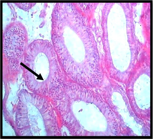 Figure 4: