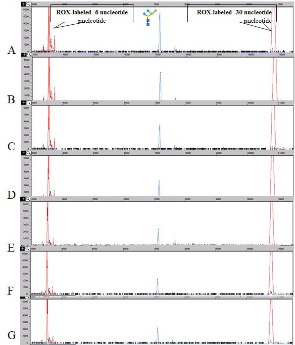 Fig. 8.