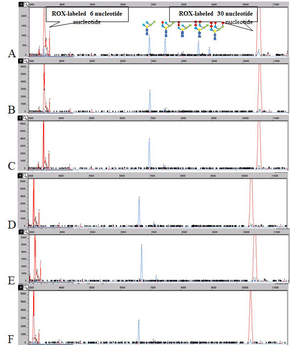 Fig. 7.