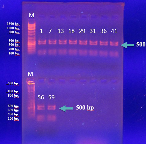 Figure 3: