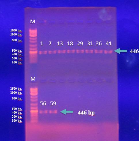Figure 4: