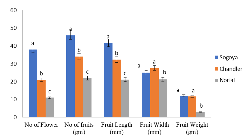 Figure 2: