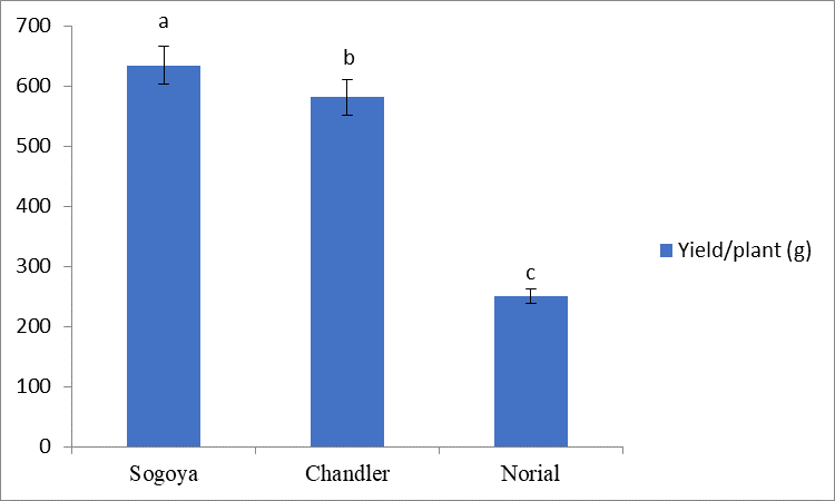 Figure 3: