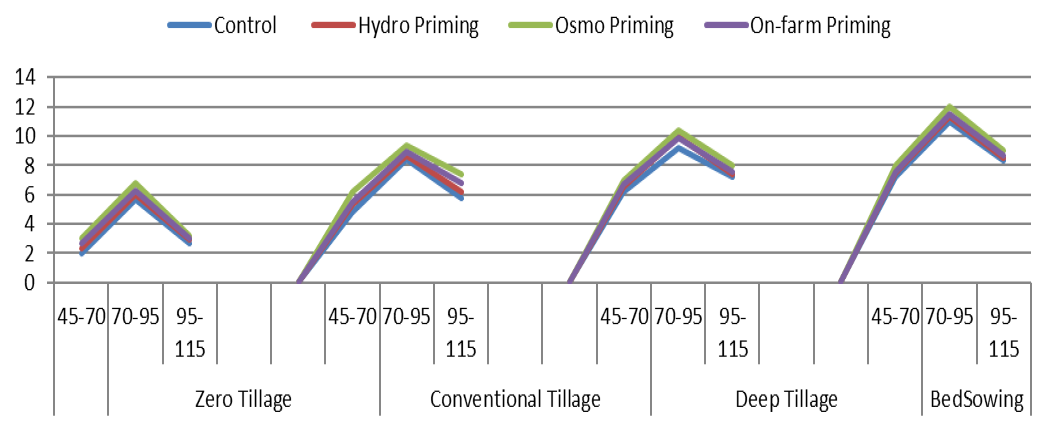 Figure 2: