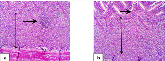 Figure 5: