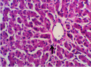 Figure 3: