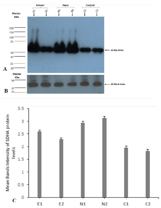 Figure 6: