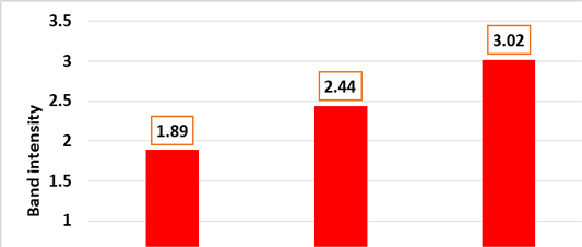 Figure 3: