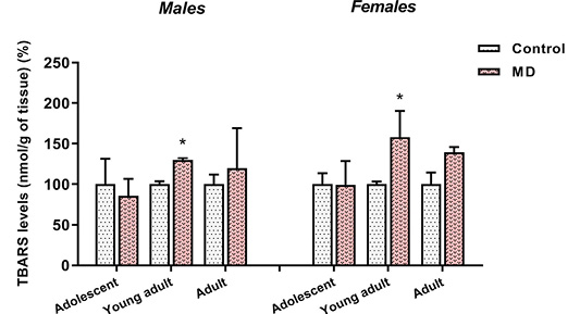 Figure 5: