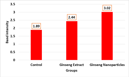 Figure 5: