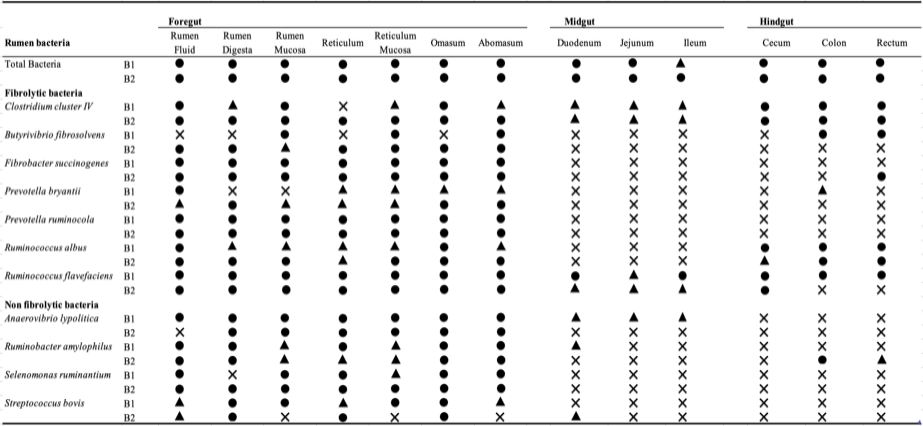 Table 7: