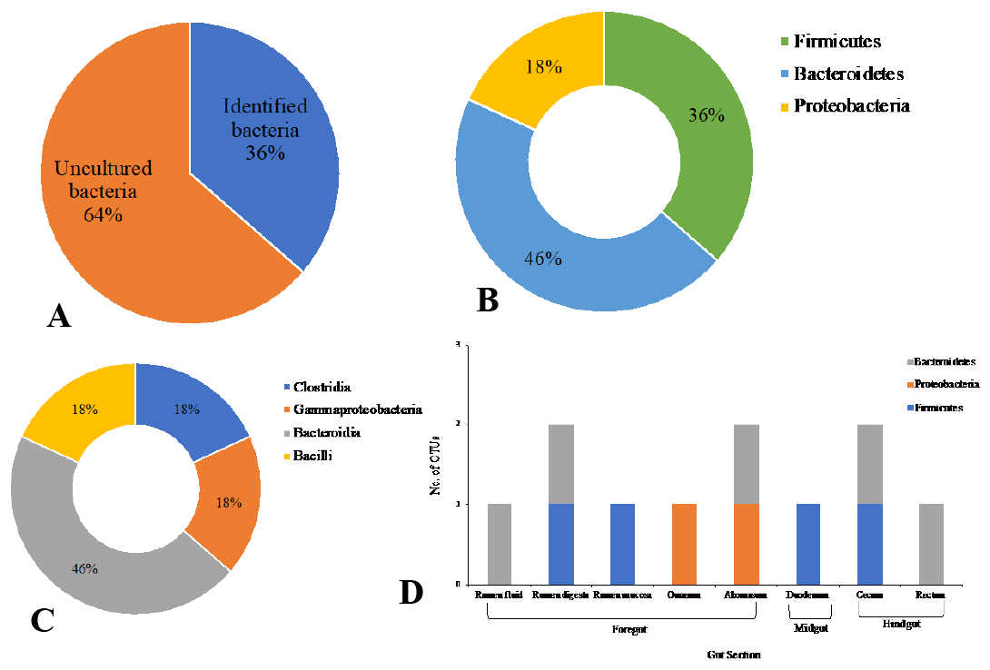 Figure 5: