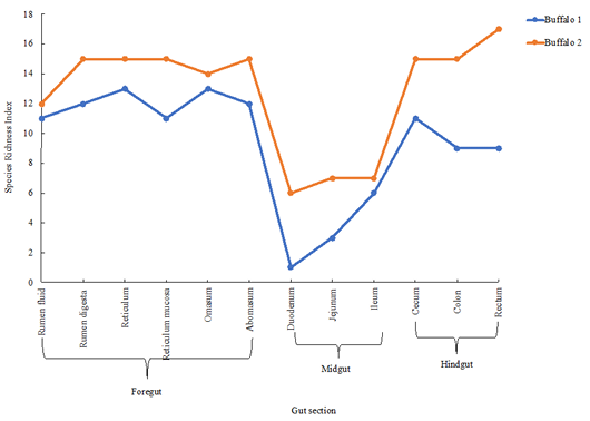 Figure 6: