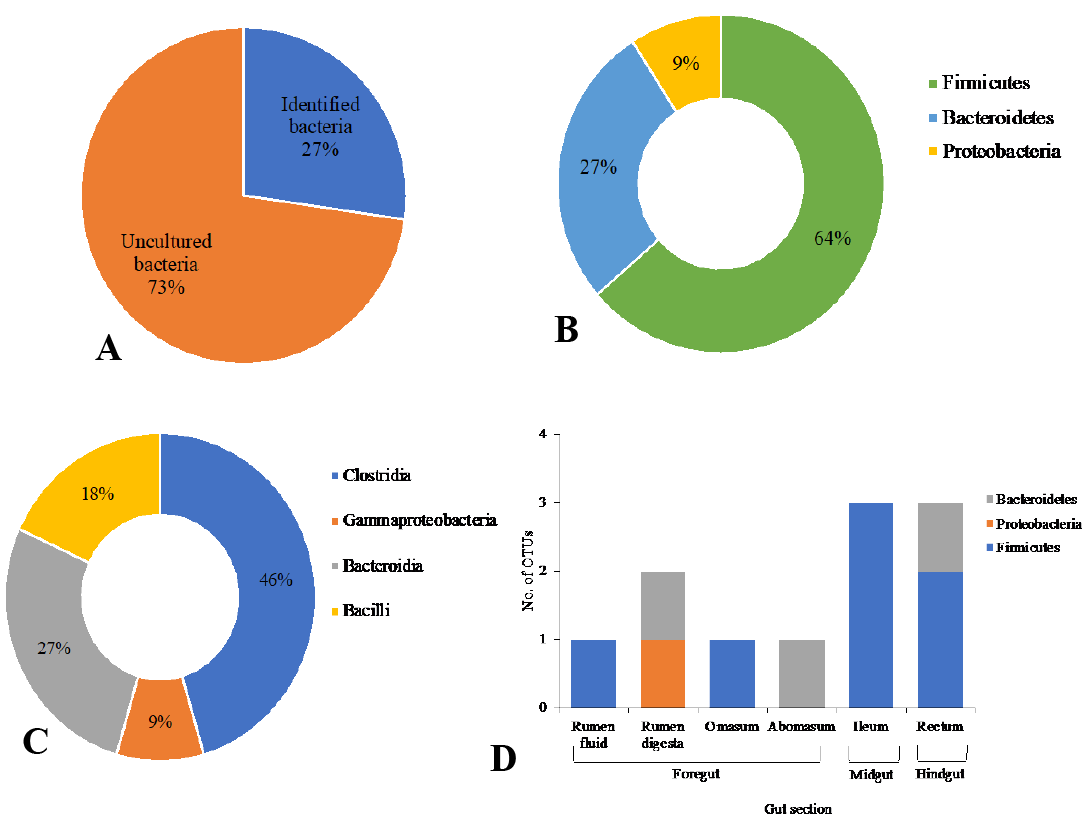 Figure 4: