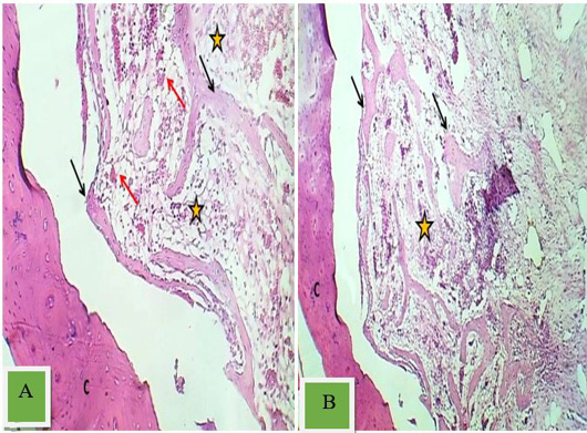 Figure 4: