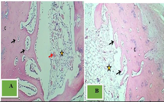 Figure 5: