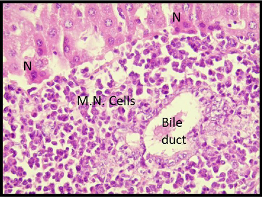 Figure 7: