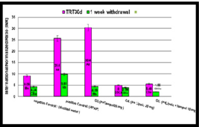 Figure 5: