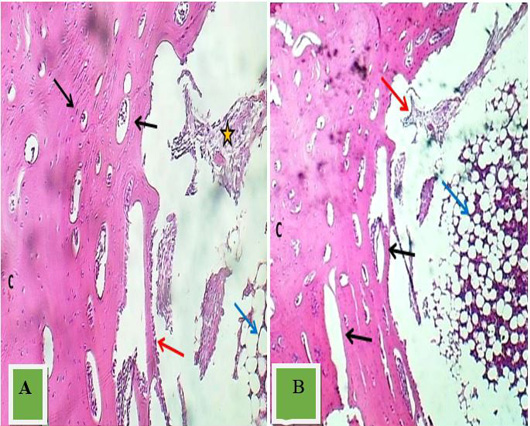 Figure 3: