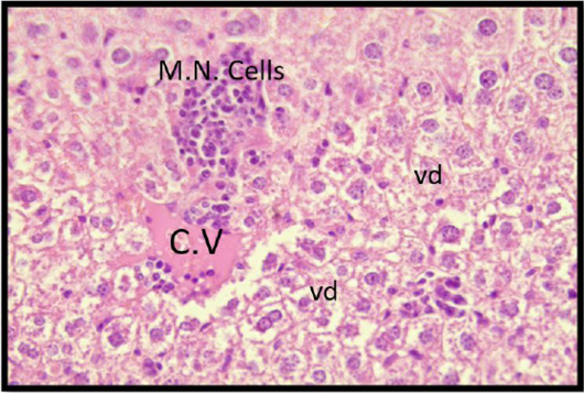 Figure 9: