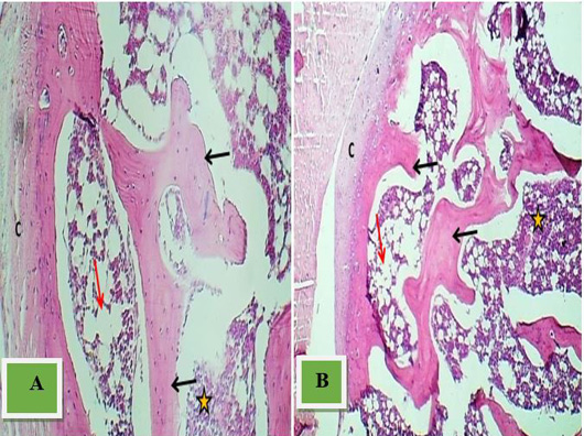 Figure 9: