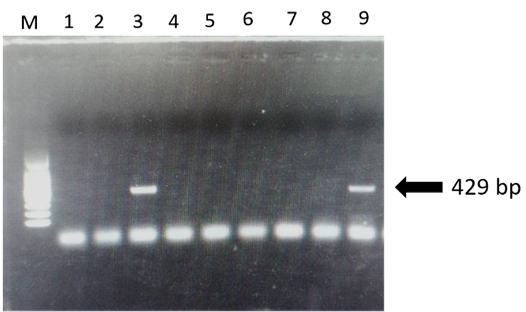 Figure 2: