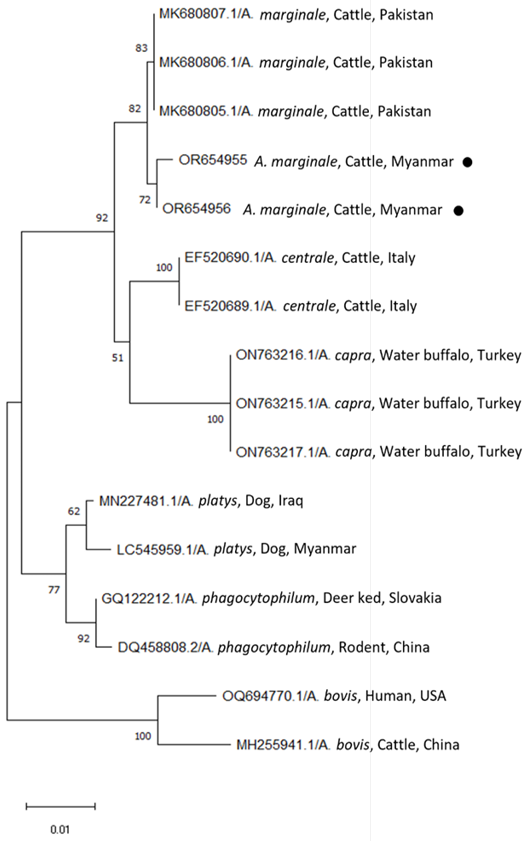 Figure 3:
