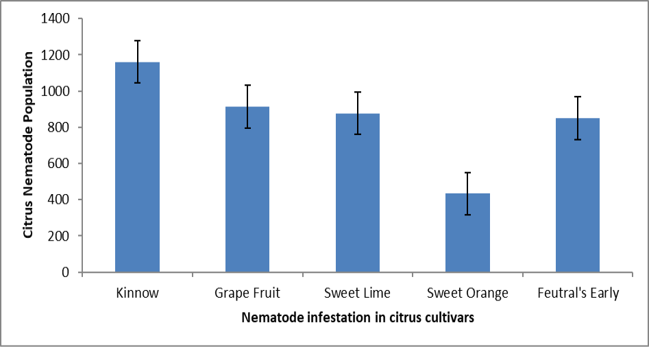 Figure 3: