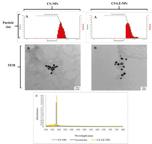 Figure 2: