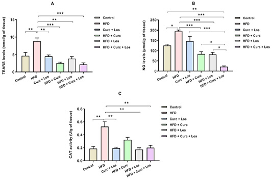 Figure 4: