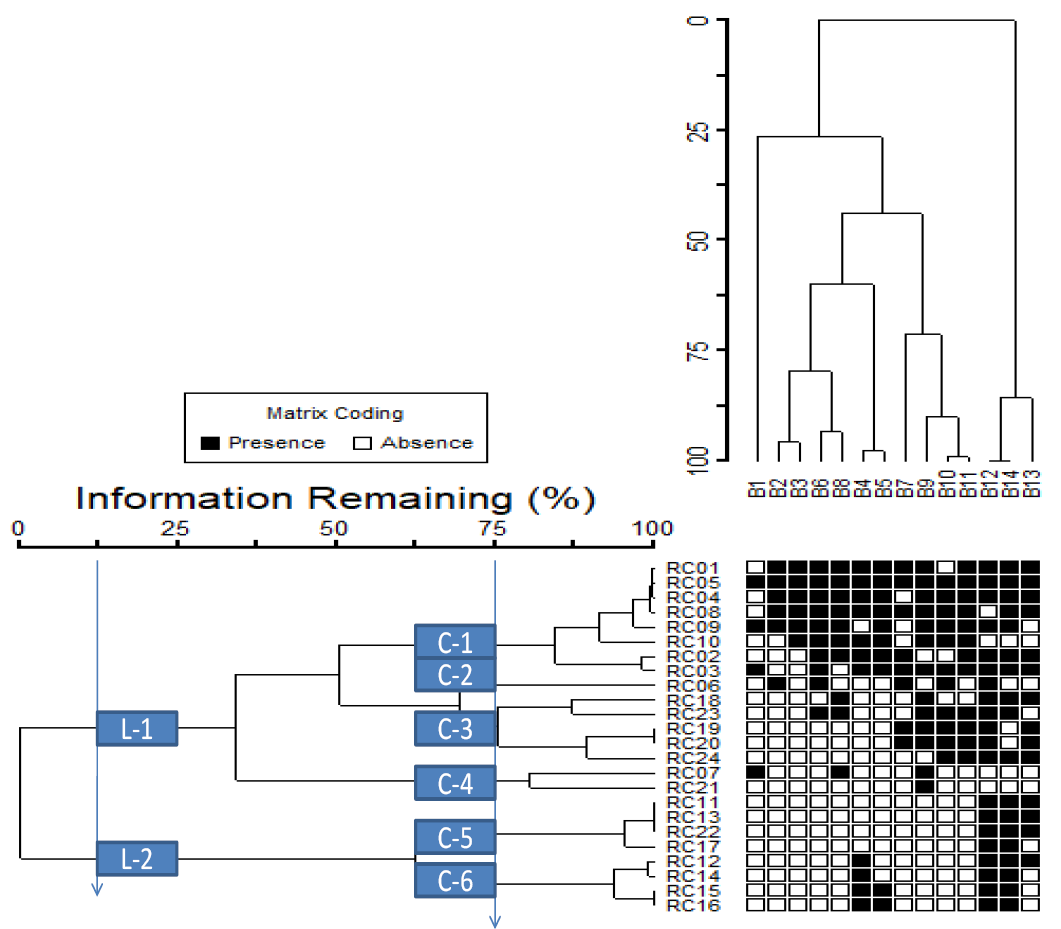 Figure 2: