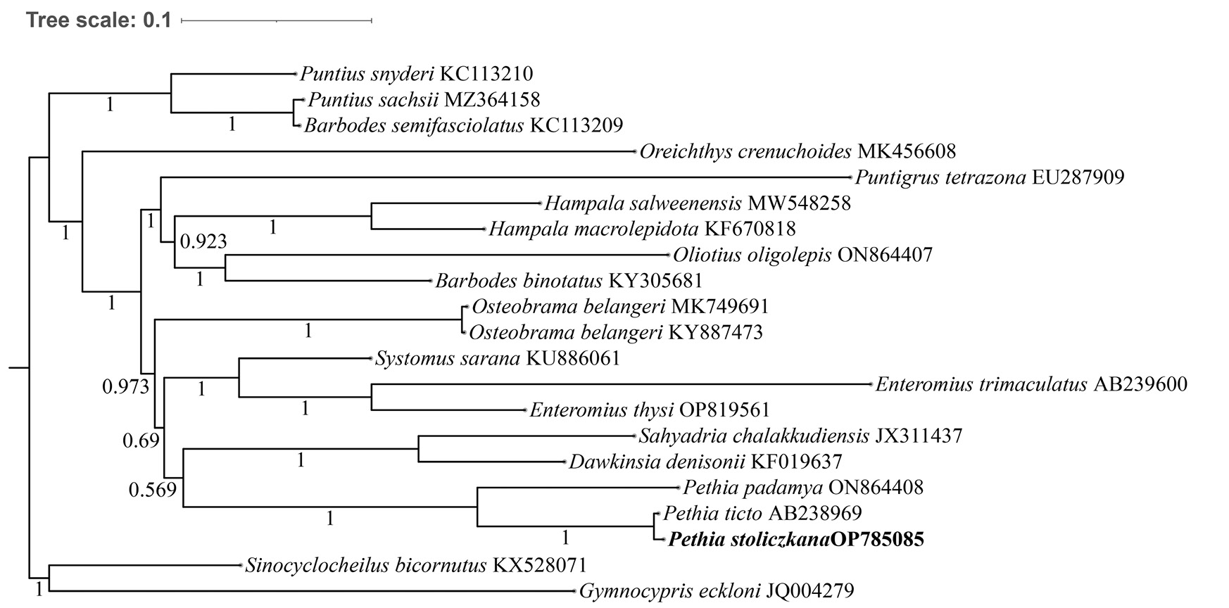 Fig. 3.