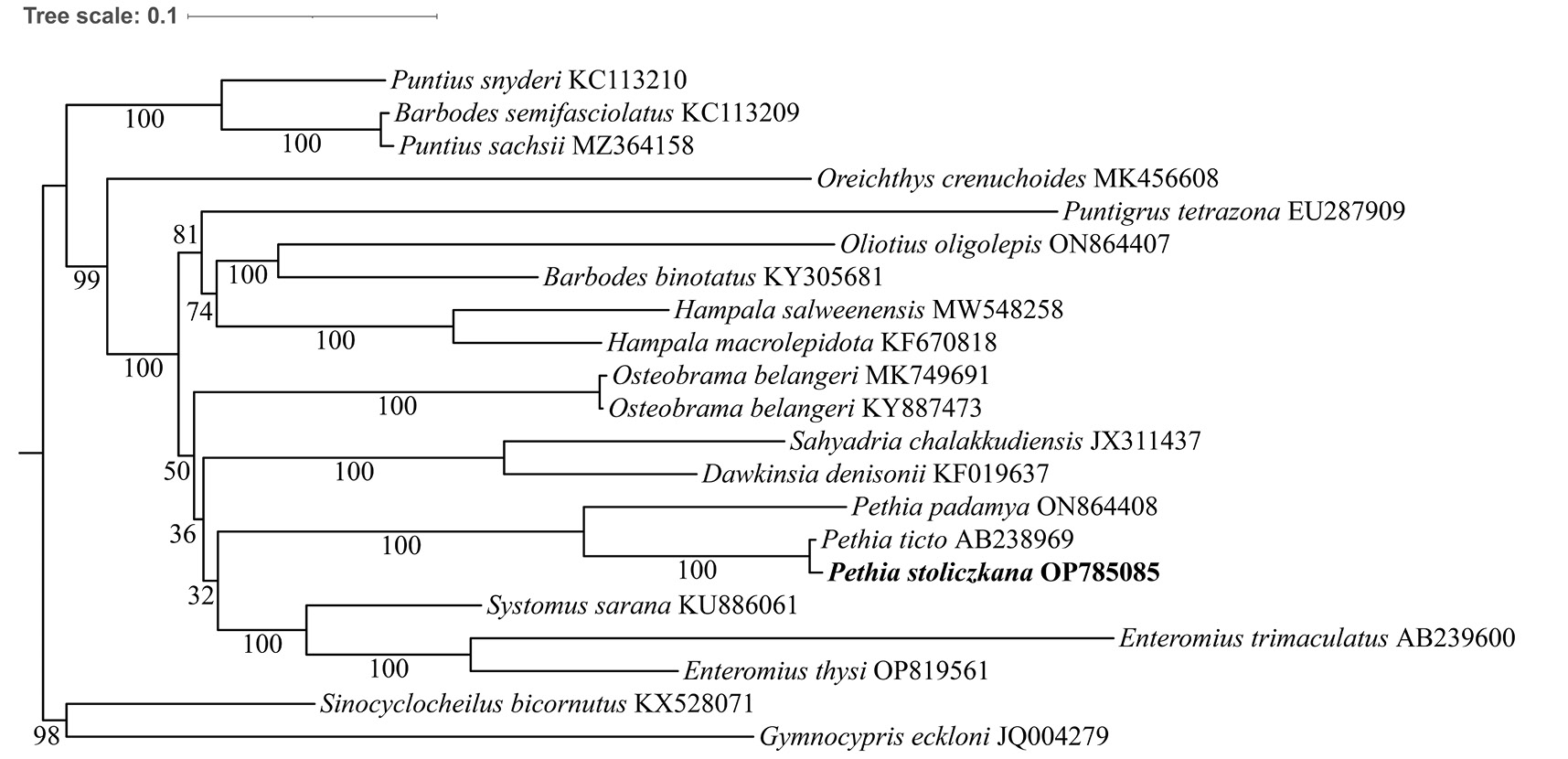 Fig. 4.
