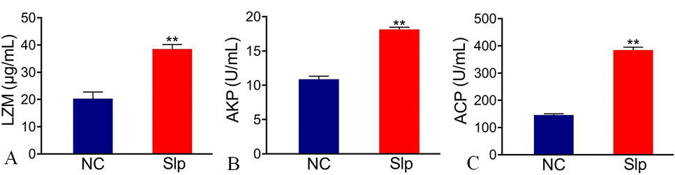 Fig. 7.