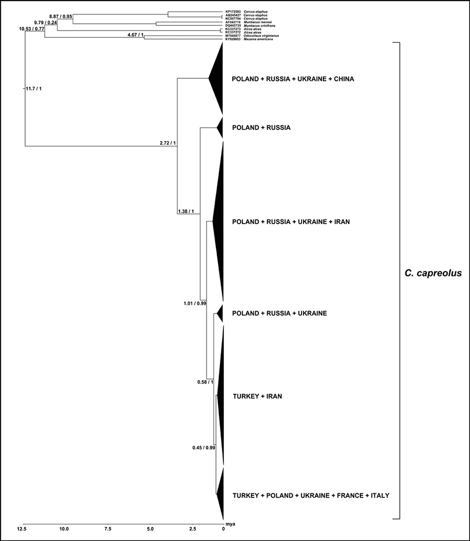 Fig. 3.